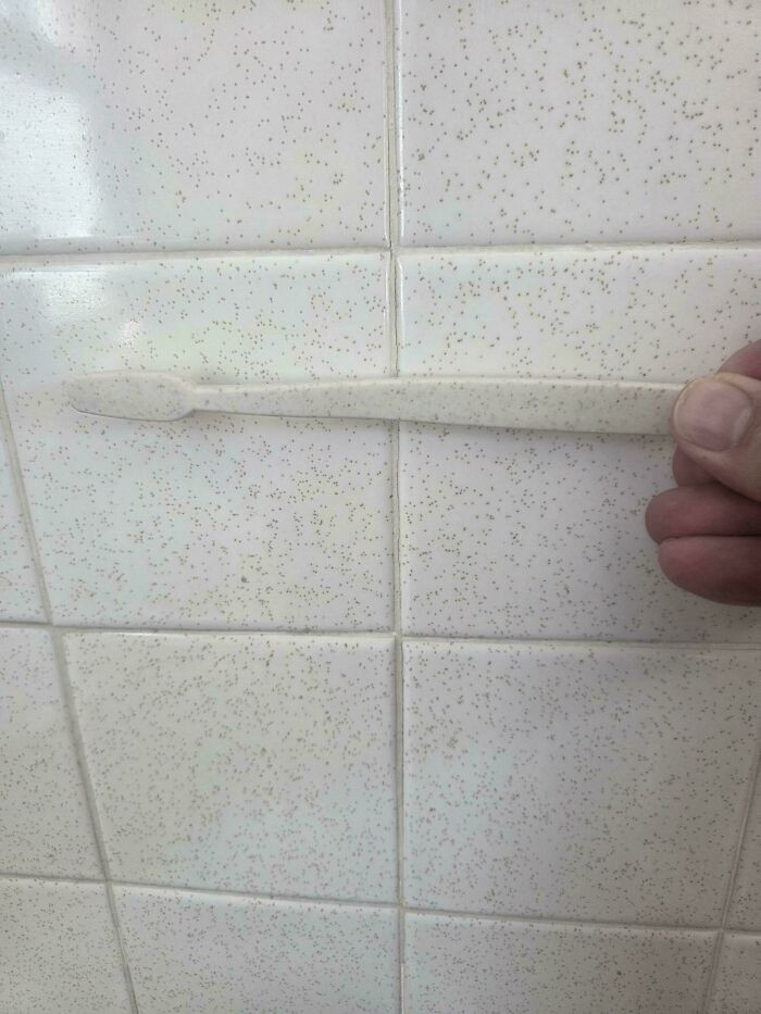 "Where's The Toothbrush?"