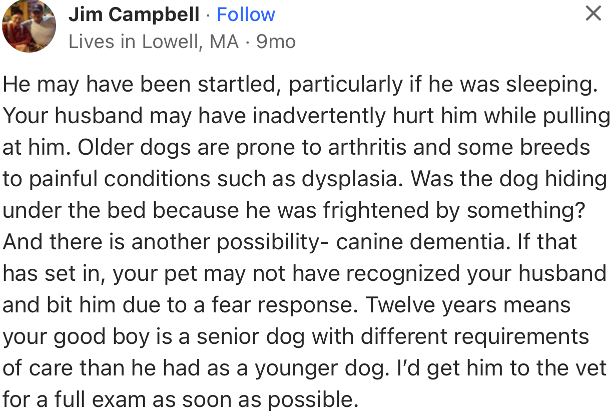 This user spelled out a few possibilities that could have led to the dog biting its dad. A visit to the vet will do this family a whole lot of good.