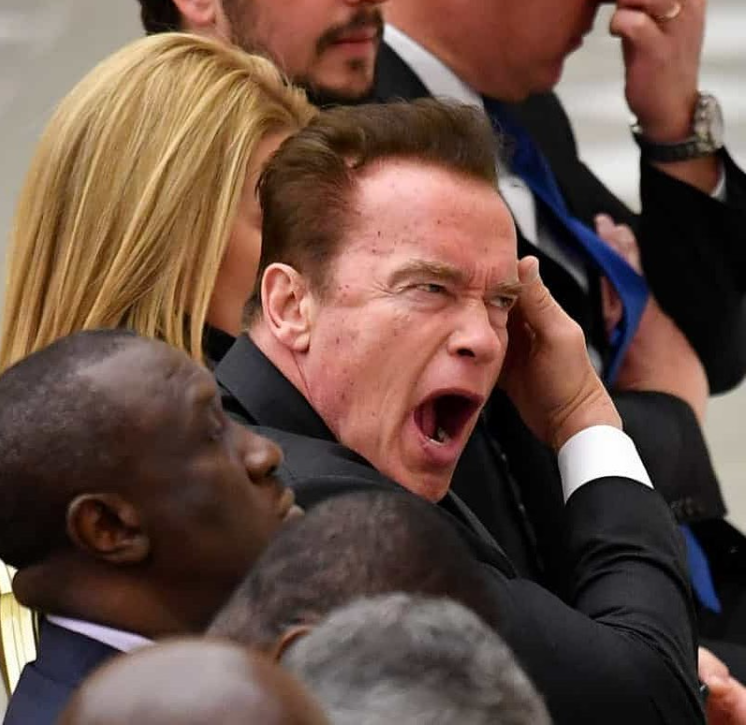 1. Arnold Schwarzenegger