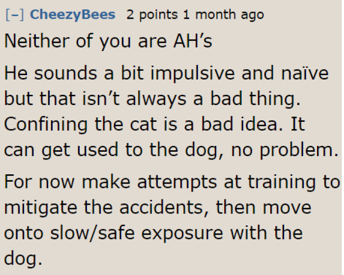 The husband needs to spend more time training the cat so that it can acclimate to its surroundings more quickly.