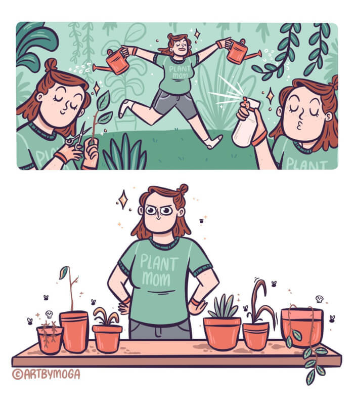 2. Where did I go wrong?