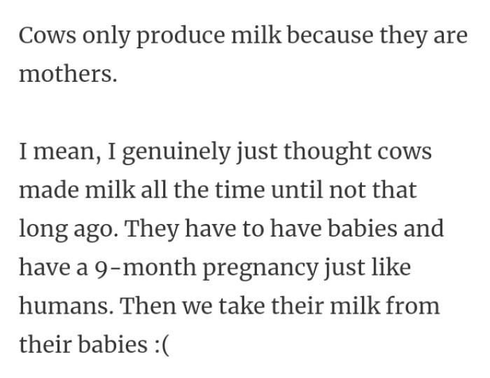 22. Cows and milk