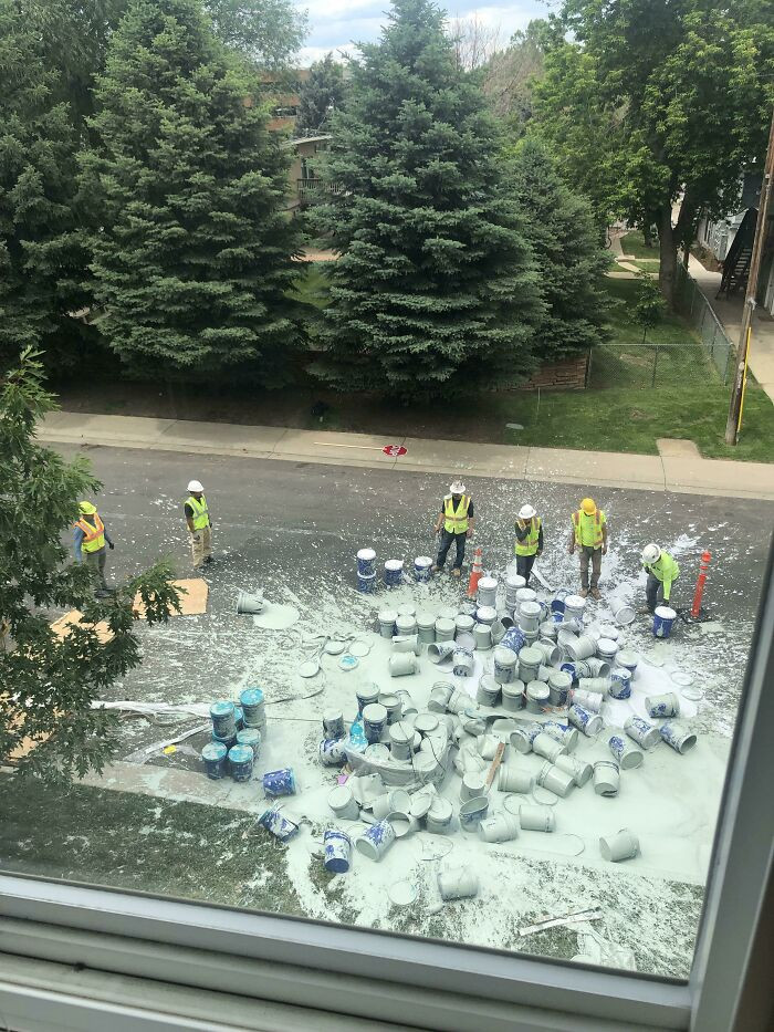 "Scene Outside My Apartment Today"