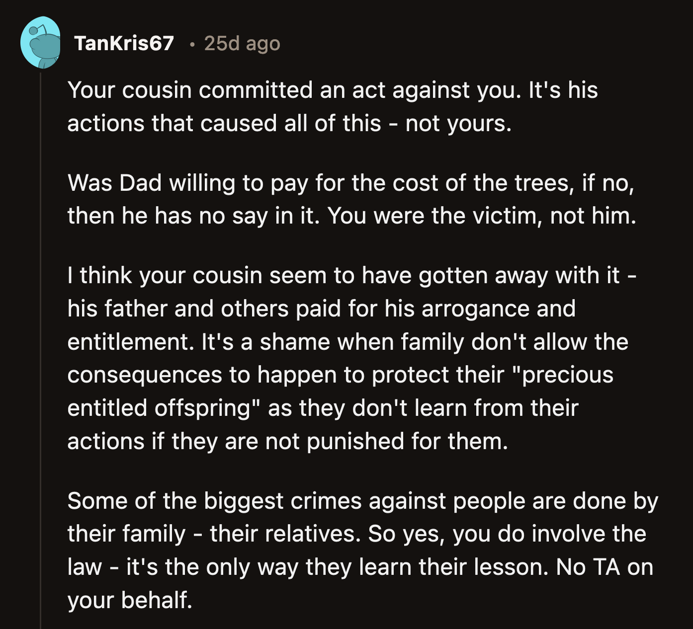 Besides, the cousin didn't even get properly punished for his actions. His dad and siblings shouldered most of the consequences of his crime.