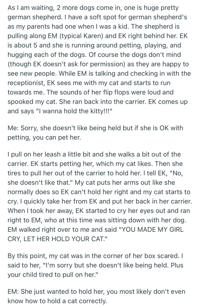 OP refused a little kid holding their cat (for good reason), only to get confronted by the kid’s mom