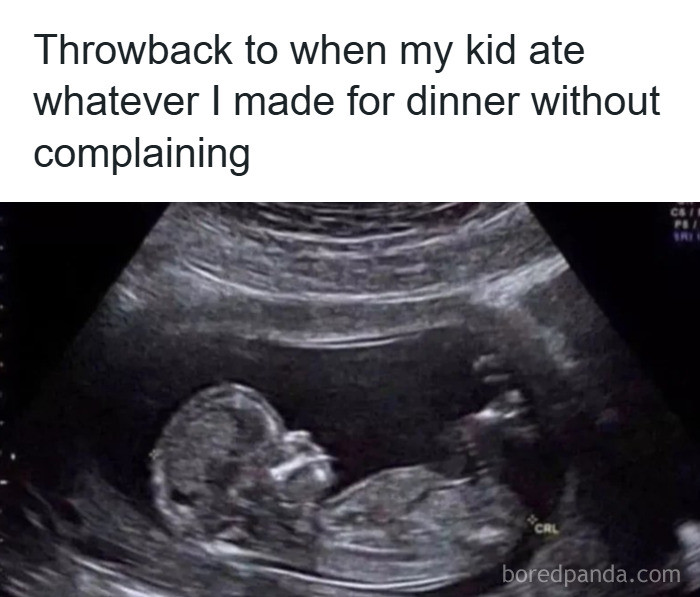 37. “Simpler times — no picky eating, just prenatal peace.”
