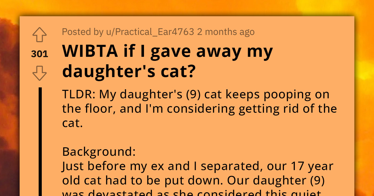 Mother Considers Rehoming 9 Y.O. Daughter's Cat Due To Consistent Litter Box Neglect And Frequent Floor Defecation, Asks If This Makes Her Insensitive