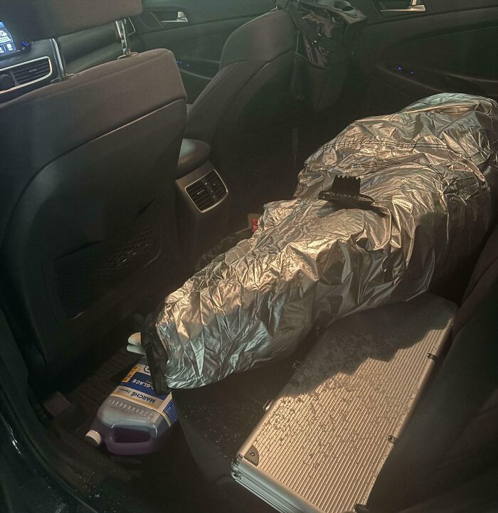 'Picked My Car Up From The Mechanic Only To Find This In My Back Seat'