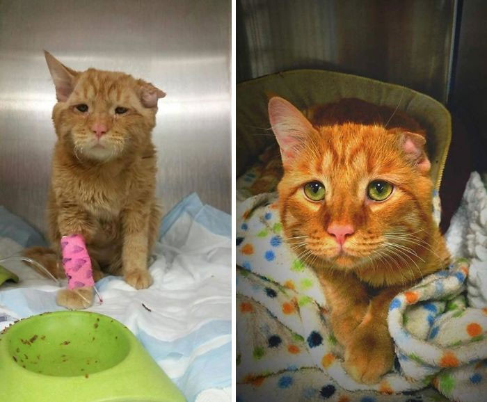 "This Is Benben. Before/After"