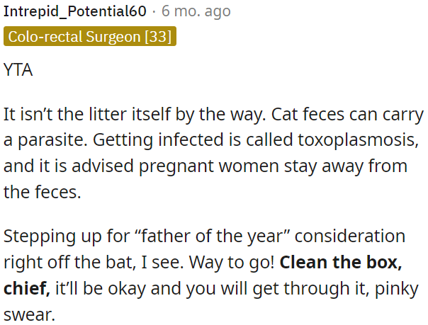 OP must take responsibility for the cat.