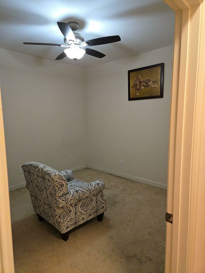 "This Is My Cheetah Room"