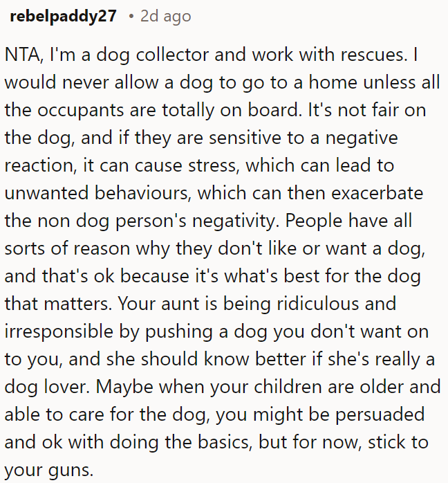 OP's aunt is being irresponsible by pressuring him to take a dog he doesn't want.