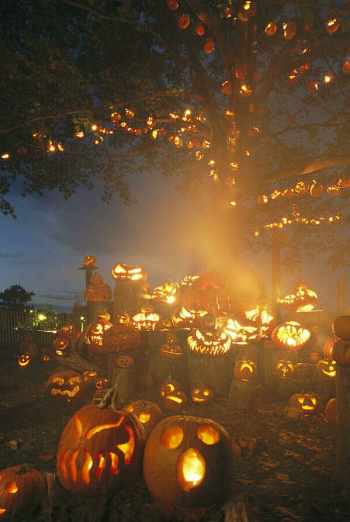 This is the ultimate jack-o'-lantern-decorated home.
