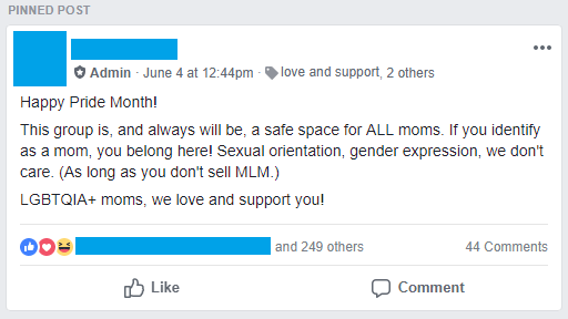 This is the post that was submitted into this person's Facebook group, which is geared towards moms of all kinds, except those in MLMs.