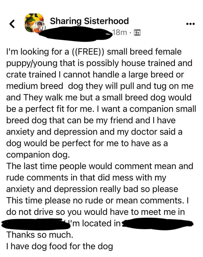 This Lady Needs a House-Trained Dog, for FREE!
