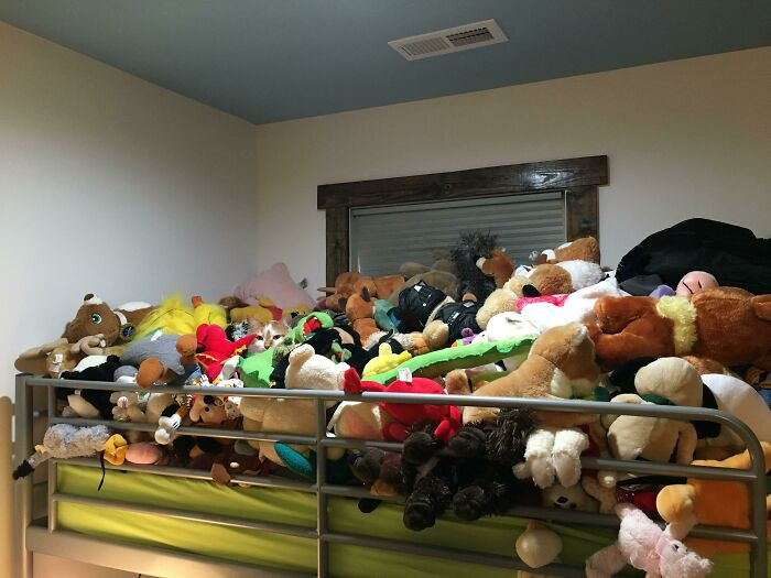 3. Top Bunk Of Some Guys Daughter’ Bed. One Of These Things Is Not Like The Other