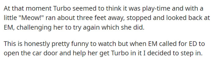 In a playful mood, Turbo meowed and led EM on a chase, but when she called for ED's assistance, OP decided to intervene, sensing things were getting out of hand.
