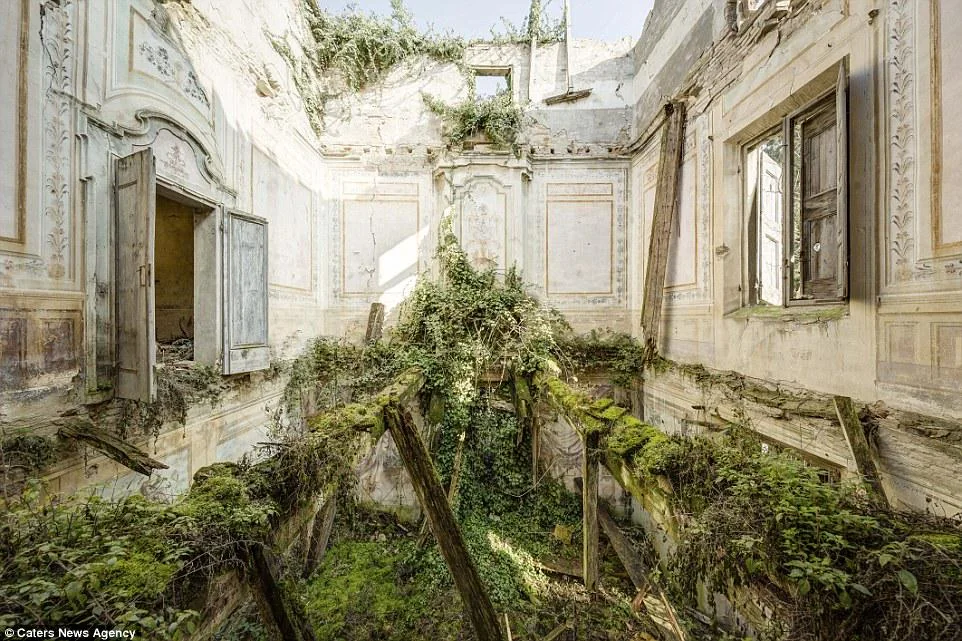 6. “An abandoned swimming pool taken over by nature in Italy.”