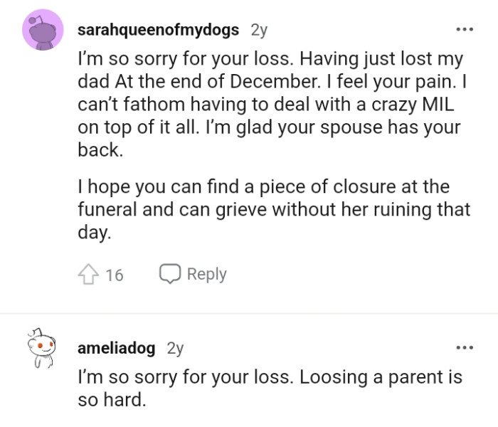 Let's head into the comments section and find out what other redditors have to say