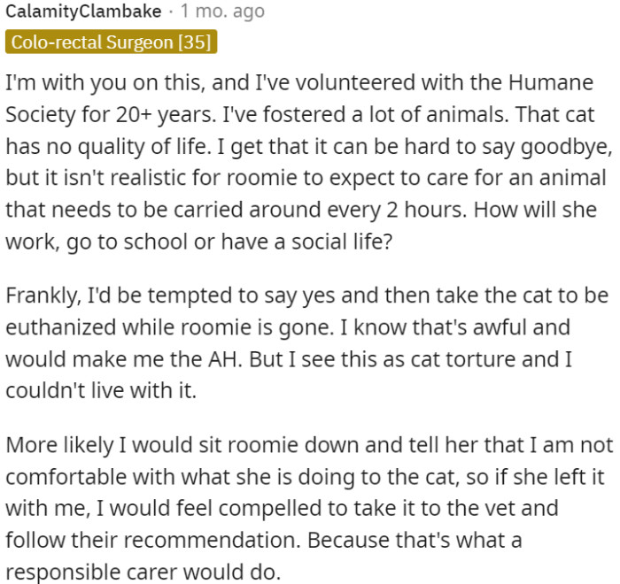 Considering the situation, it's not realistic for OP's roommate to manage her daily responsibilities while also taking care of the cat's needs every 2 hours