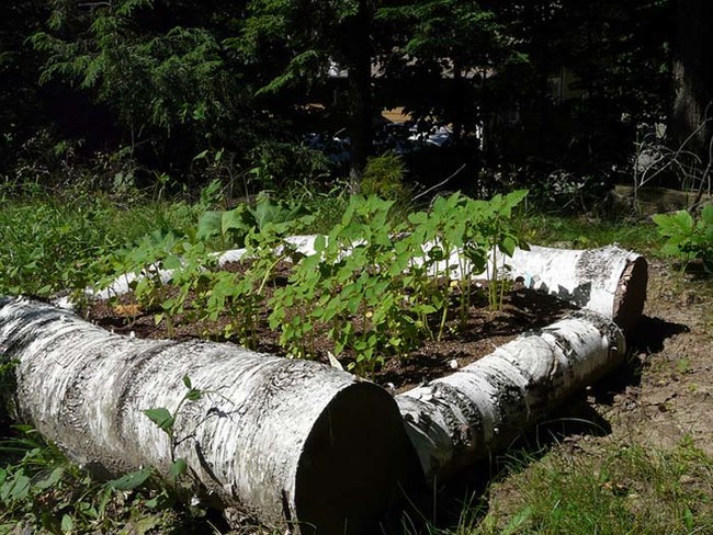 2. Flower Bed: Raise your garden game with a bed that's as pretty and au naturel as the flowers in it.