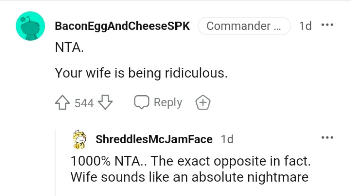 This Redditor believes the OP's wife is being unreasonable