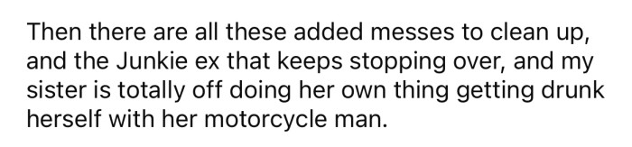 The OP feels that his home is no longer his. Instead, it's full of people, messes, and extra kids that need looking after because his sister is more interested in drinking with her new boyfriend.