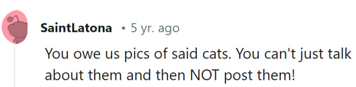 Ah, the age-old rule of the internet: 