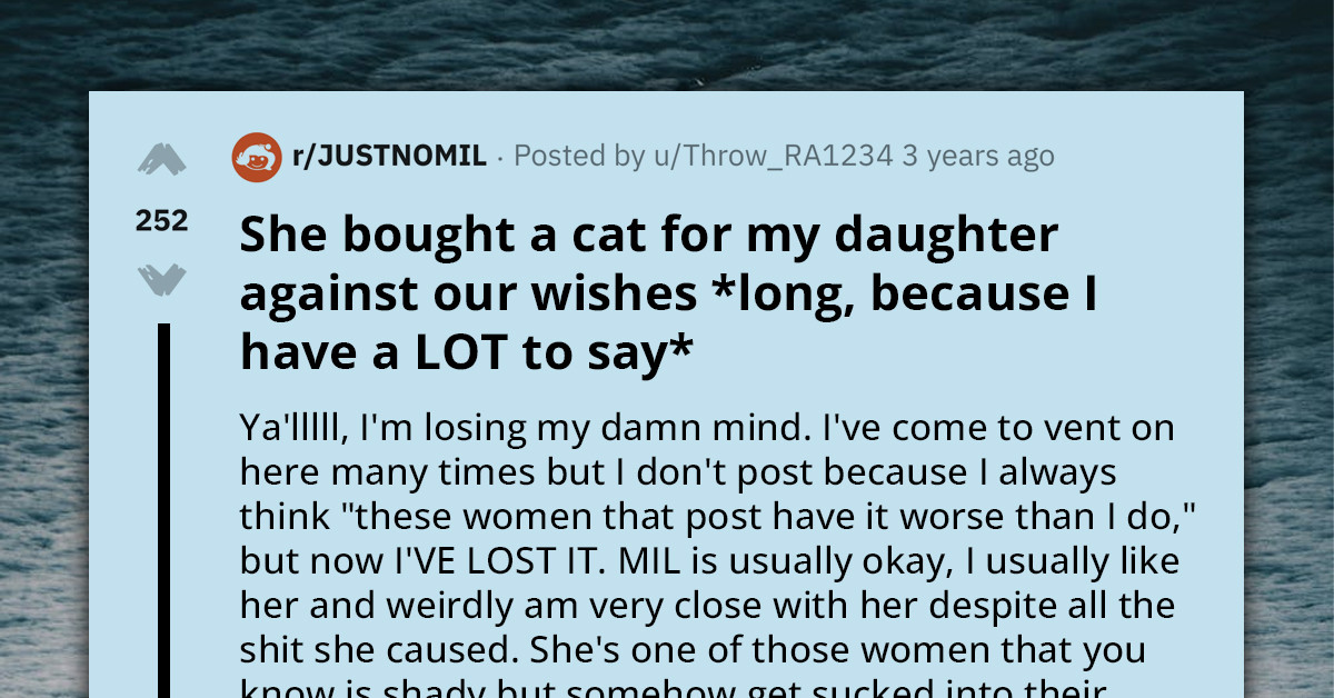 Redditor Asks For Advice On How To Deal With Her Intrusive MIL After She Buys Cat For Her Daughter Against Her Wishes