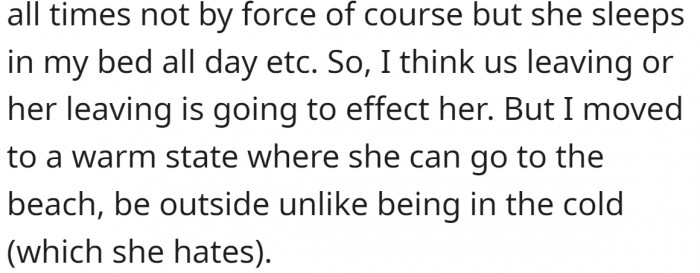 The dog hates the cold.