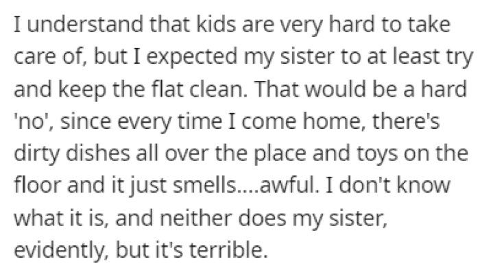 OP expected that his sister would keep the place clean but it's been far from that