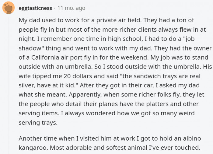 11. The albino kangaroo might just be the best part of this story