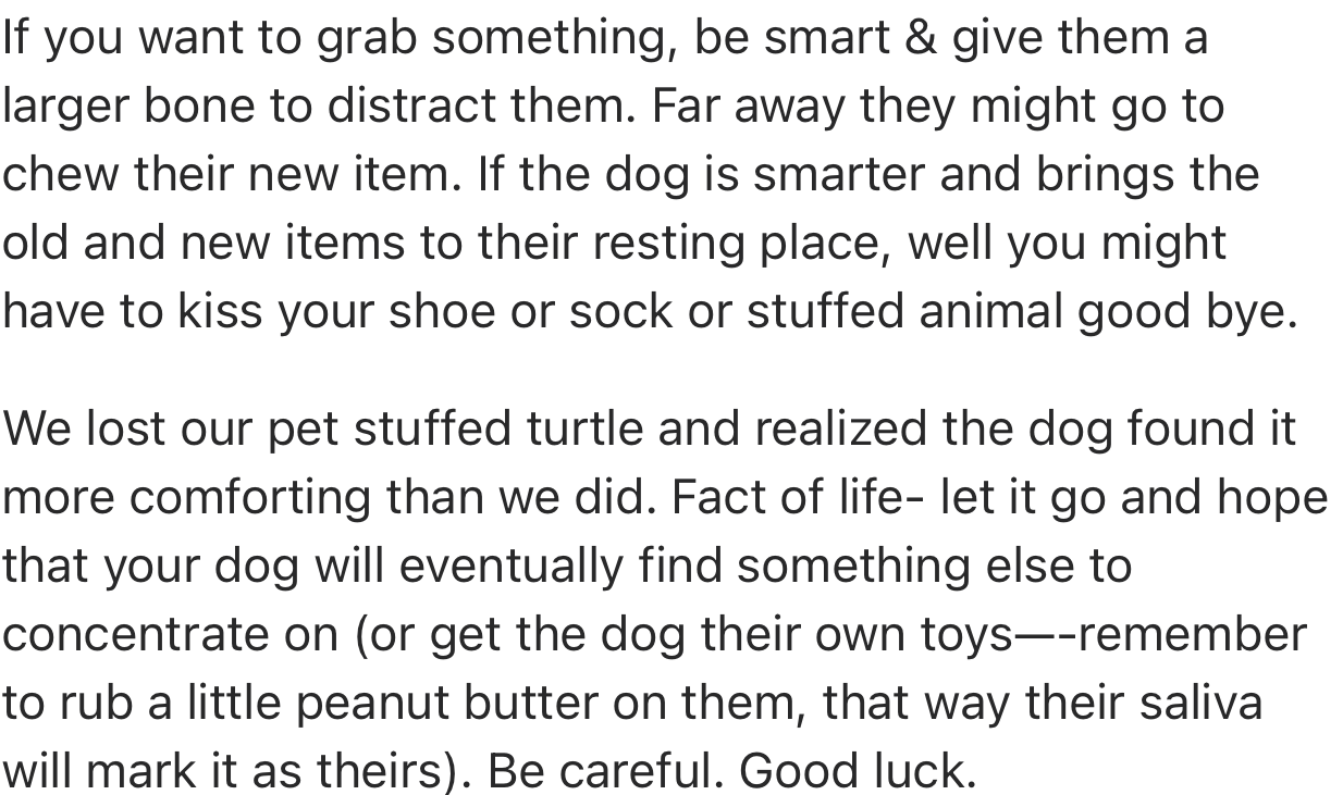 For Dogs That Are Not Trained, a Good Way to Get Something from Its Mouth Is to Distract It