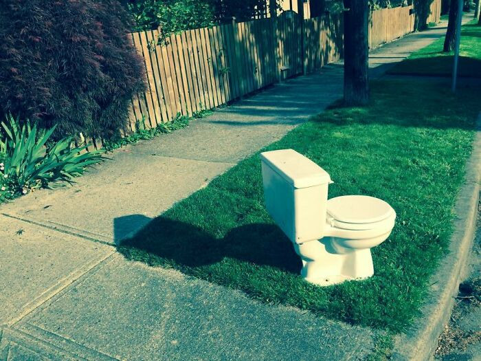 11. What are your thoughts if you see this street art in Vancouver, Canada?