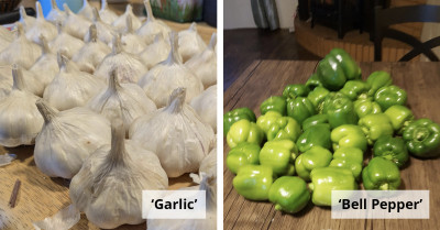 20+ Food Items That Can Be Safely Stored Outside The Fridge