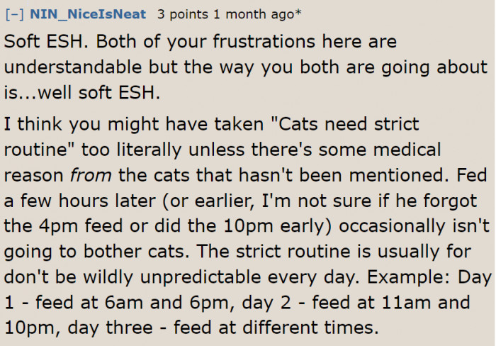 The OP was too strict about her cat's routine.