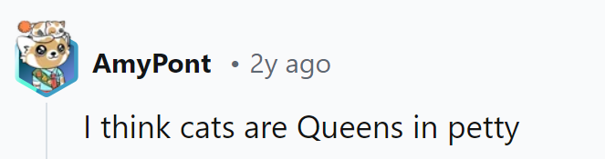 Petty queens ruling over their kingdom of fur and mischief.