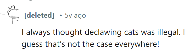 Guess some places missed the memo: declawing cats isn't just frowned upon, it's downright frowned at.