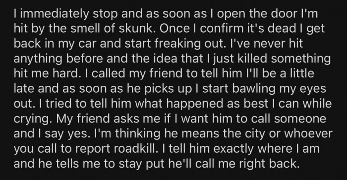 Once OP stepped out of their car, they were immediately able to recognize what they hit.