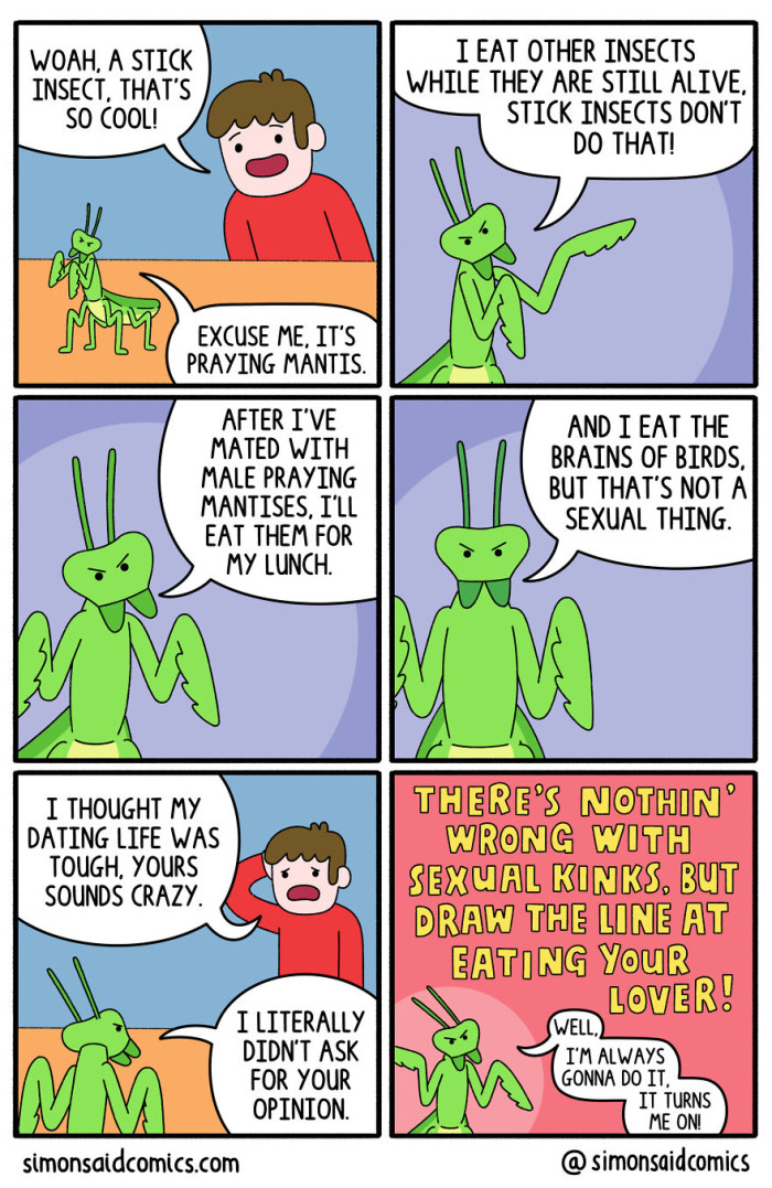 30. The praying mantis