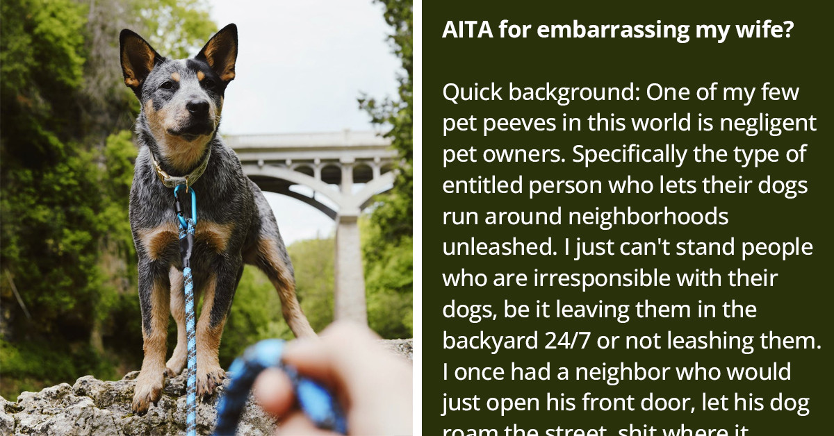 Man Cusses At Old Woman For Letting Her Dog Get Near His, Gets Told Off By Wife For Causing Her Embarrassment At The Farmer's Market