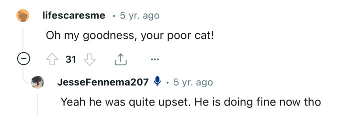 The poor kitty lost its claws. Thankfully, it's doing better now