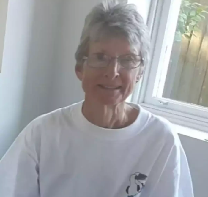 Cruise ship at sea with stranded passenger incident reported during inspection