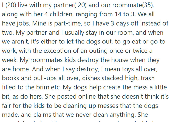 A young couple, both 20 years old, share a house with a 35-year-old woman. She has four kids, aged between 3 and 14.