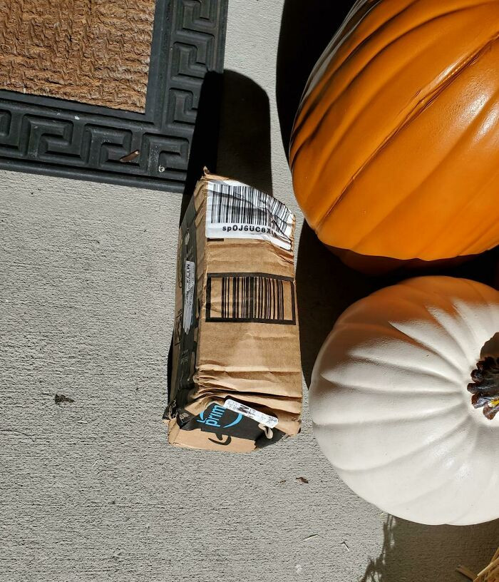 "Amazon Has Hired Ace Ventura To Deliver Packages, People!"