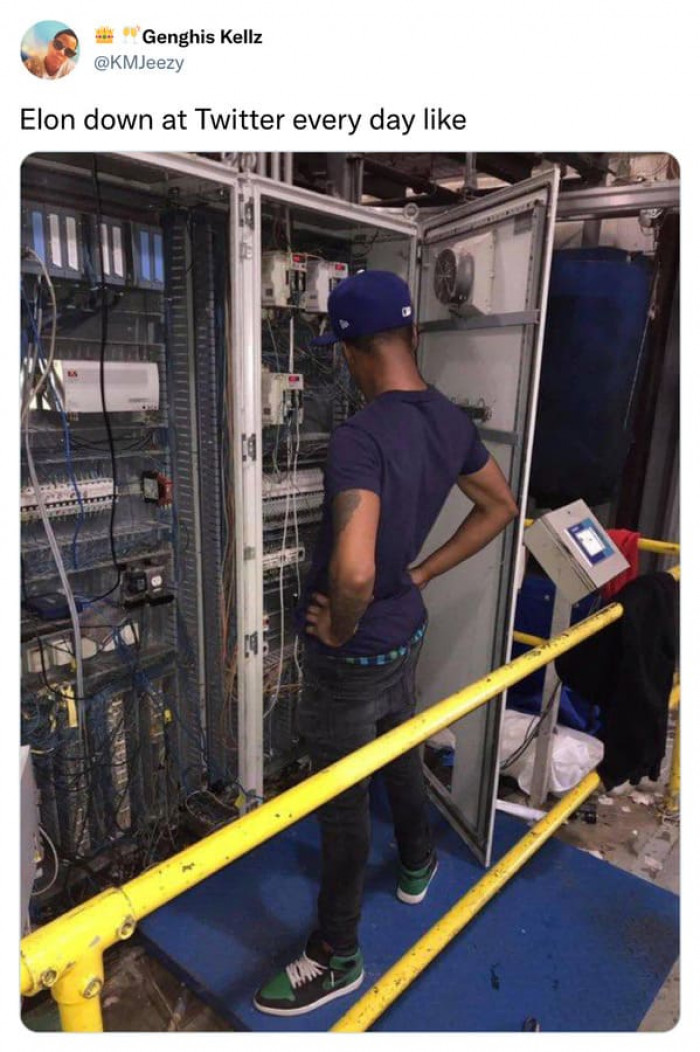 15. An accurate portrayal.