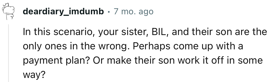 “Perhaps come up with a payment plan? Or make their son work it off in some way?”