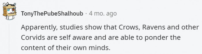 21. That's why they always seem like they know more than we do