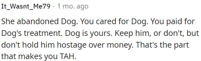 OP rescued and cared for the dog she abandoned, covering all the expenses.