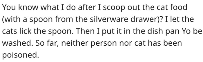 15. A cat's saliva isn't poisonous to humans.